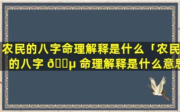 农民的八字命理解释是什么「农民的八字 🐵 命理解释是什么意思」